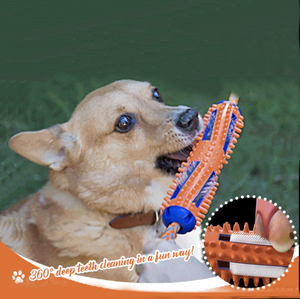 2-in-1 Toothbrush Chew Toy for Dogs