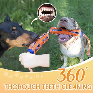 2-in-1 Toothbrush Chew Toy for Dogs